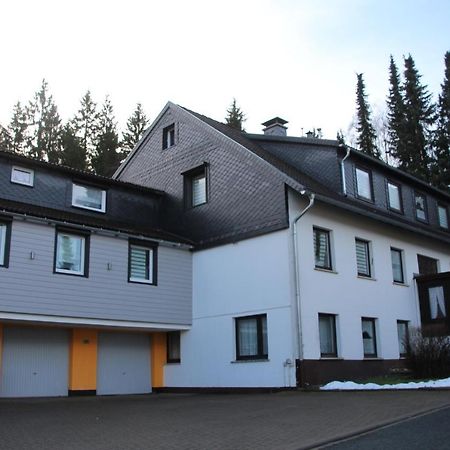Cozy Braunlage Apartman Kültér fotó