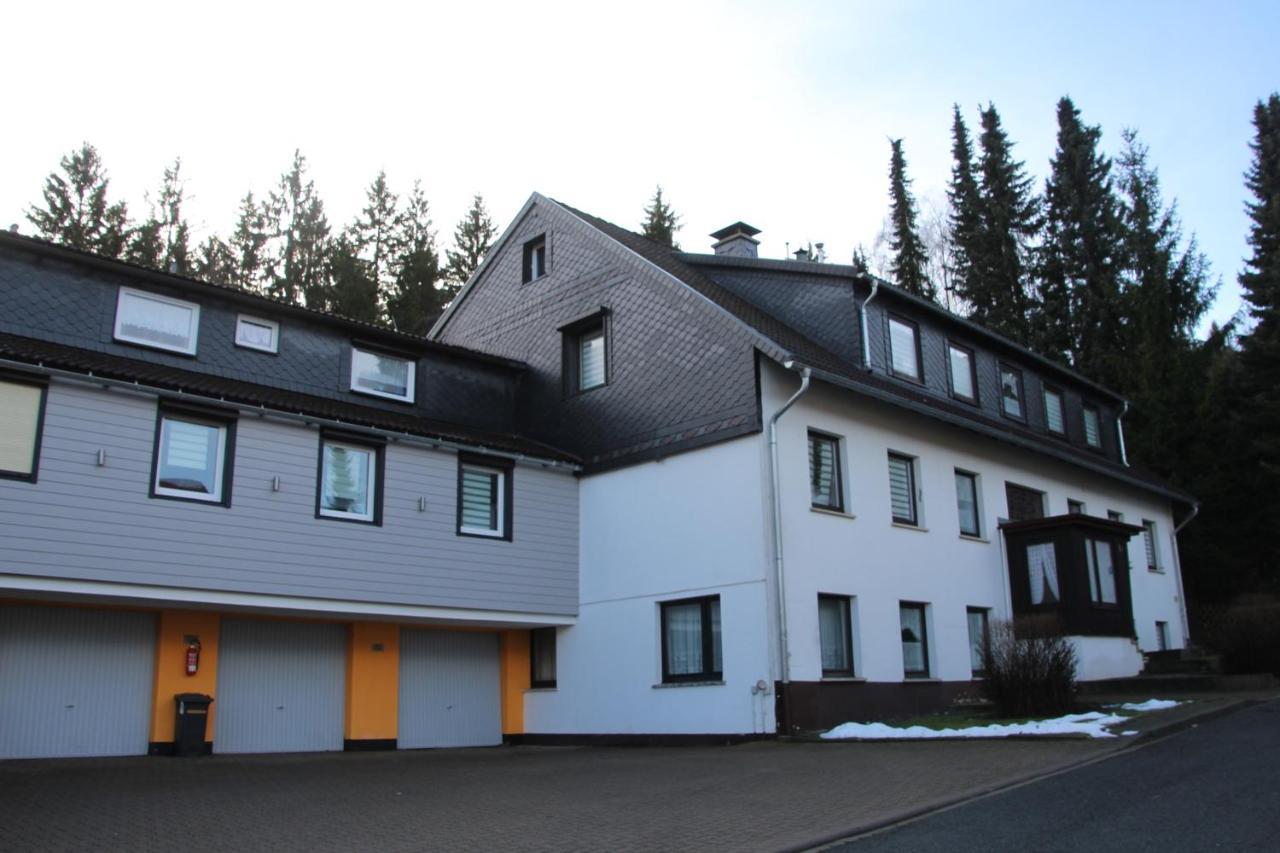 Cozy Braunlage Apartman Kültér fotó